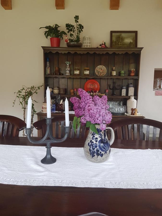 مبيت وإفطار Crivina  Sura Lu' Vasile. المظهر الخارجي الصورة